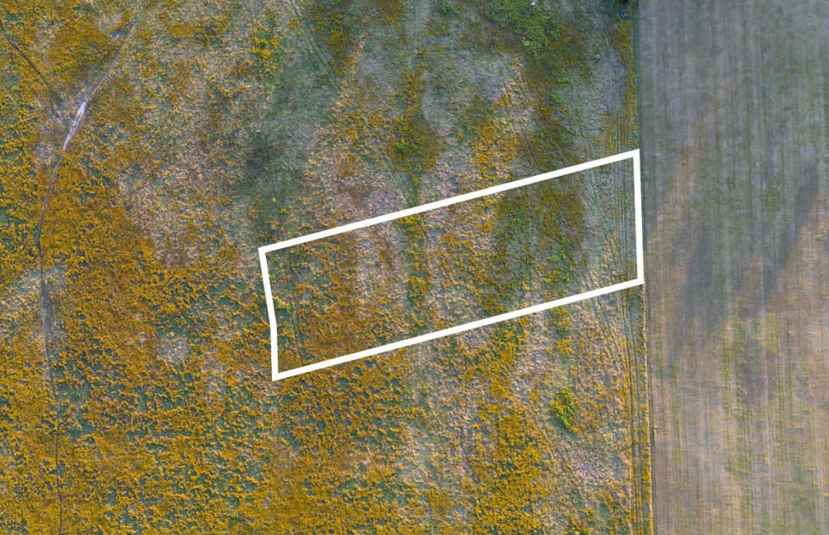 Lot 13 S Baese Road Elm Mott TX 76640