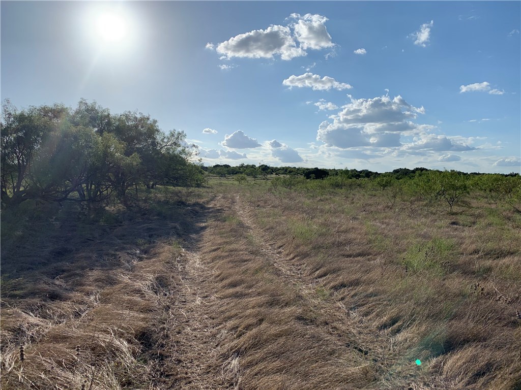 1450 Cr 165 Sidney TX 76474