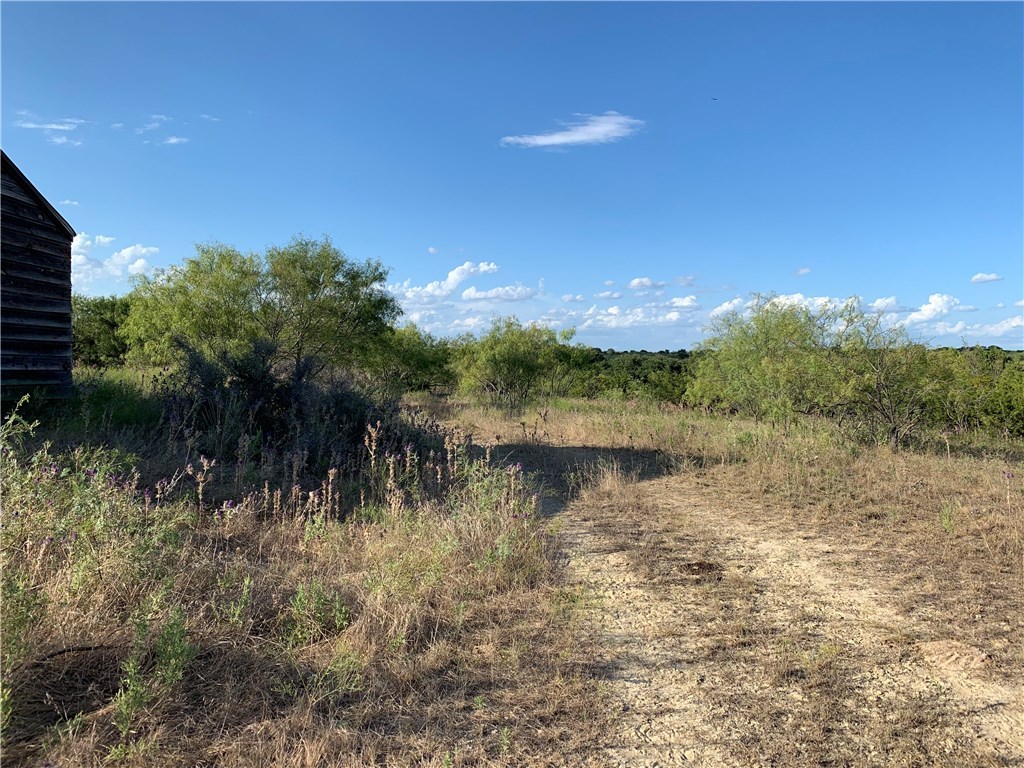 1450 Cr 165 Sidney TX 76474