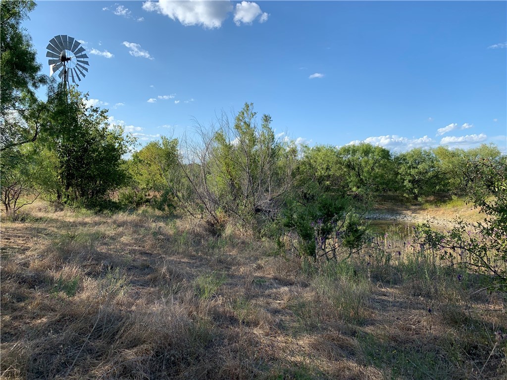 1450 Cr 165 Sidney TX 76474