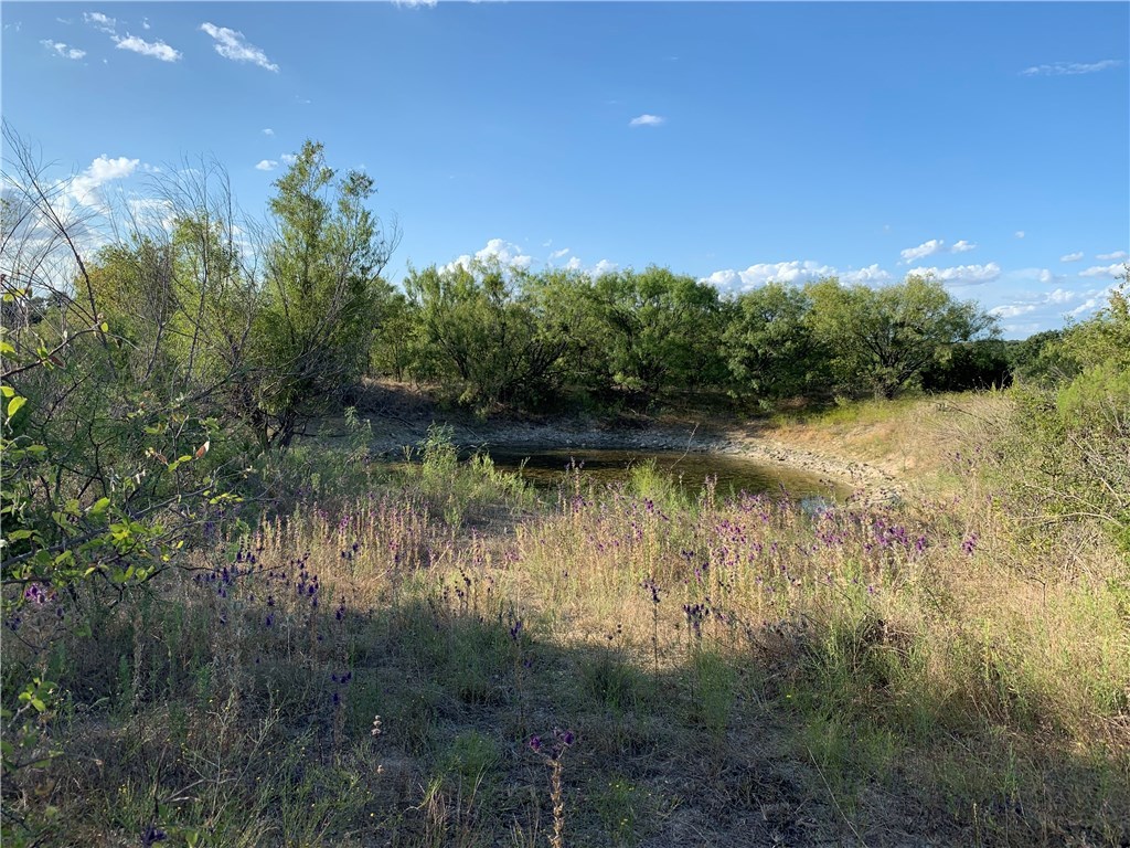 1450 Cr 165 Sidney TX 76474