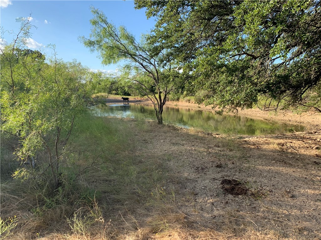 1450 Cr 165 Sidney TX 76474