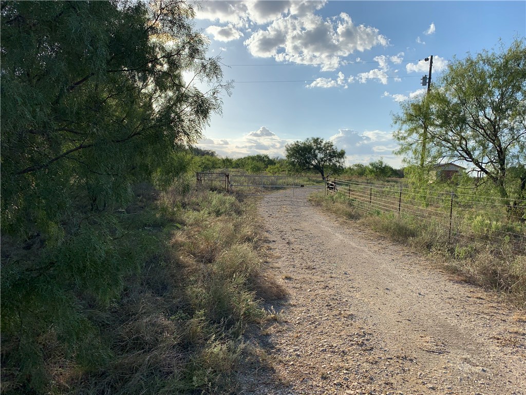 1450 Cr 165 Sidney TX 76474