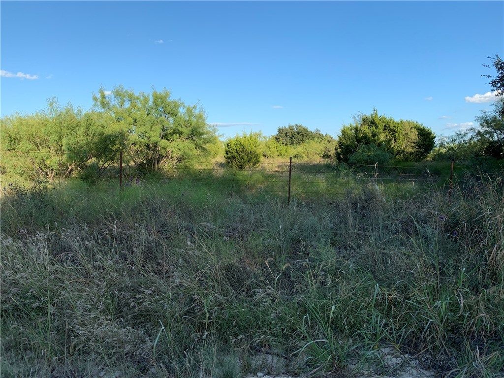 1450 Cr 165 Sidney TX 76474