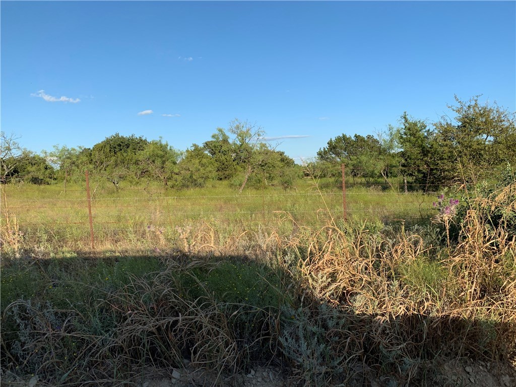 1450 Cr 165 Sidney TX 76474