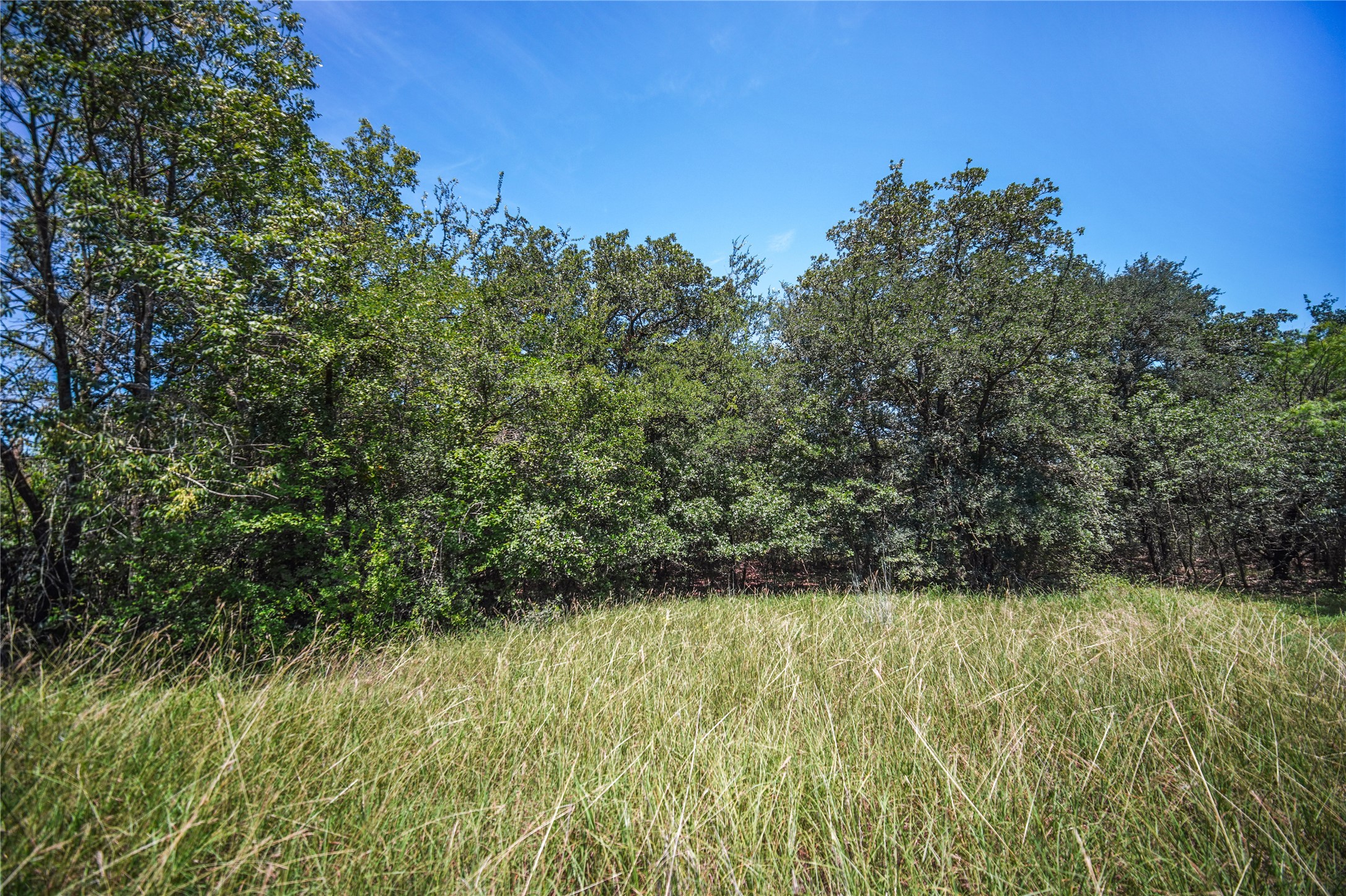 Tbd Round Hill Way Runaway Bay TX 76426