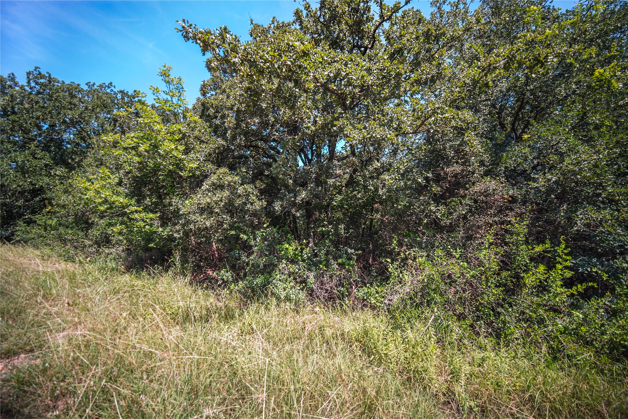 Tbd Round Hill Way Runaway Bay TX 76426