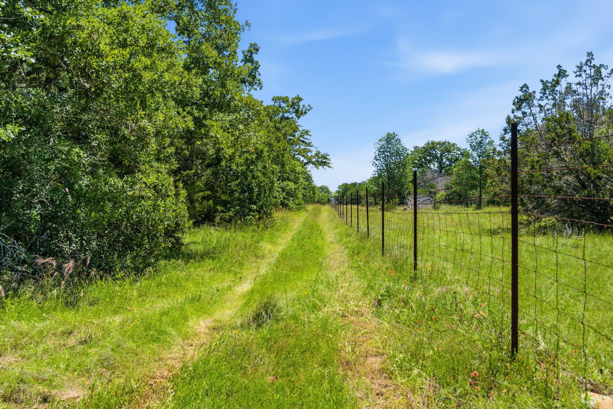 4320 Dobbs Valley Road Millsap TX 76066