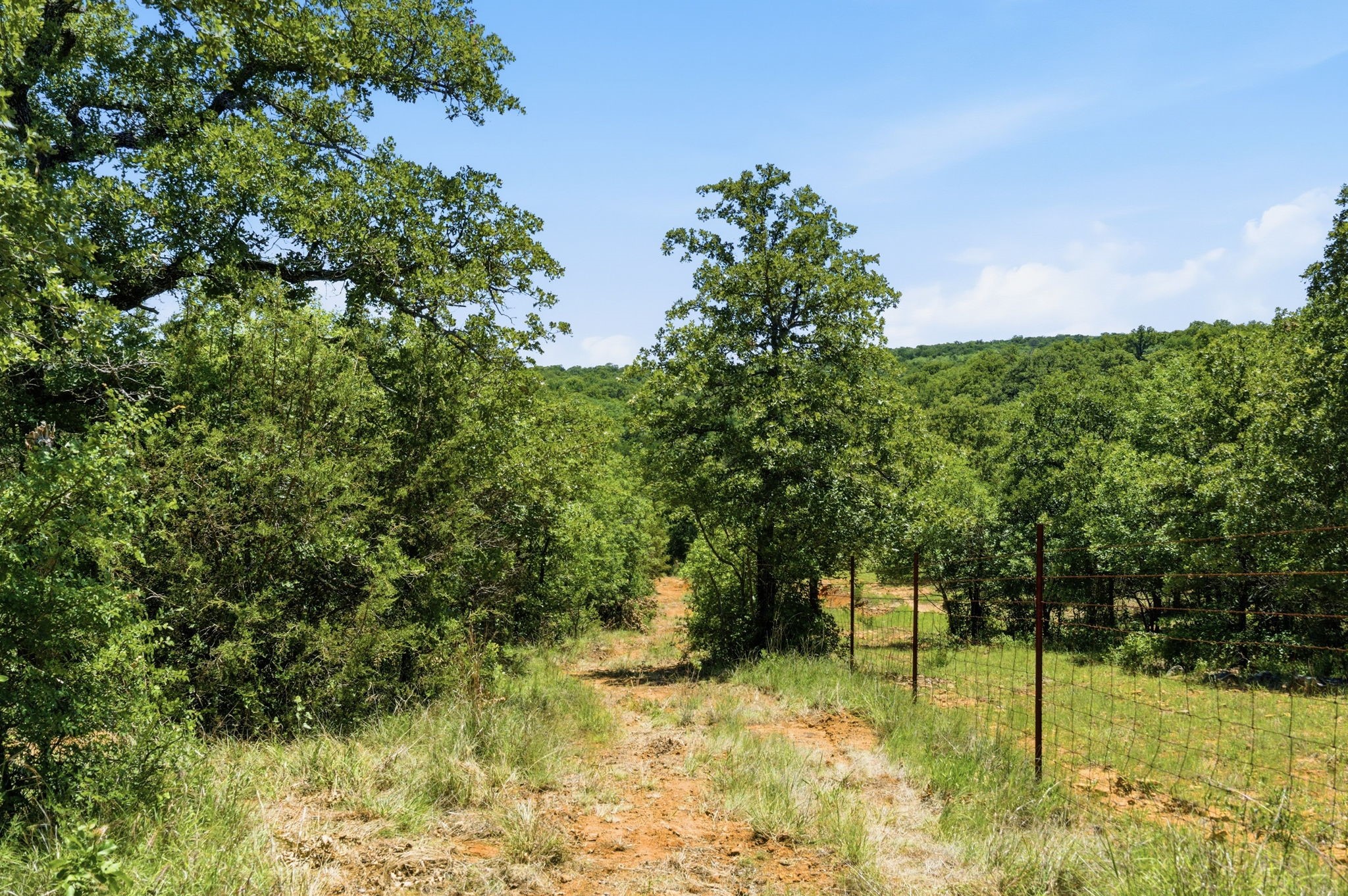4320 Dobbs Valley Road Millsap TX 76066