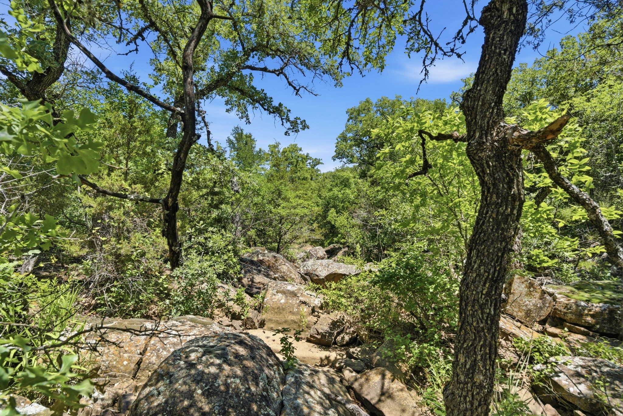 4320 Dobbs Valley Road Millsap TX 76066