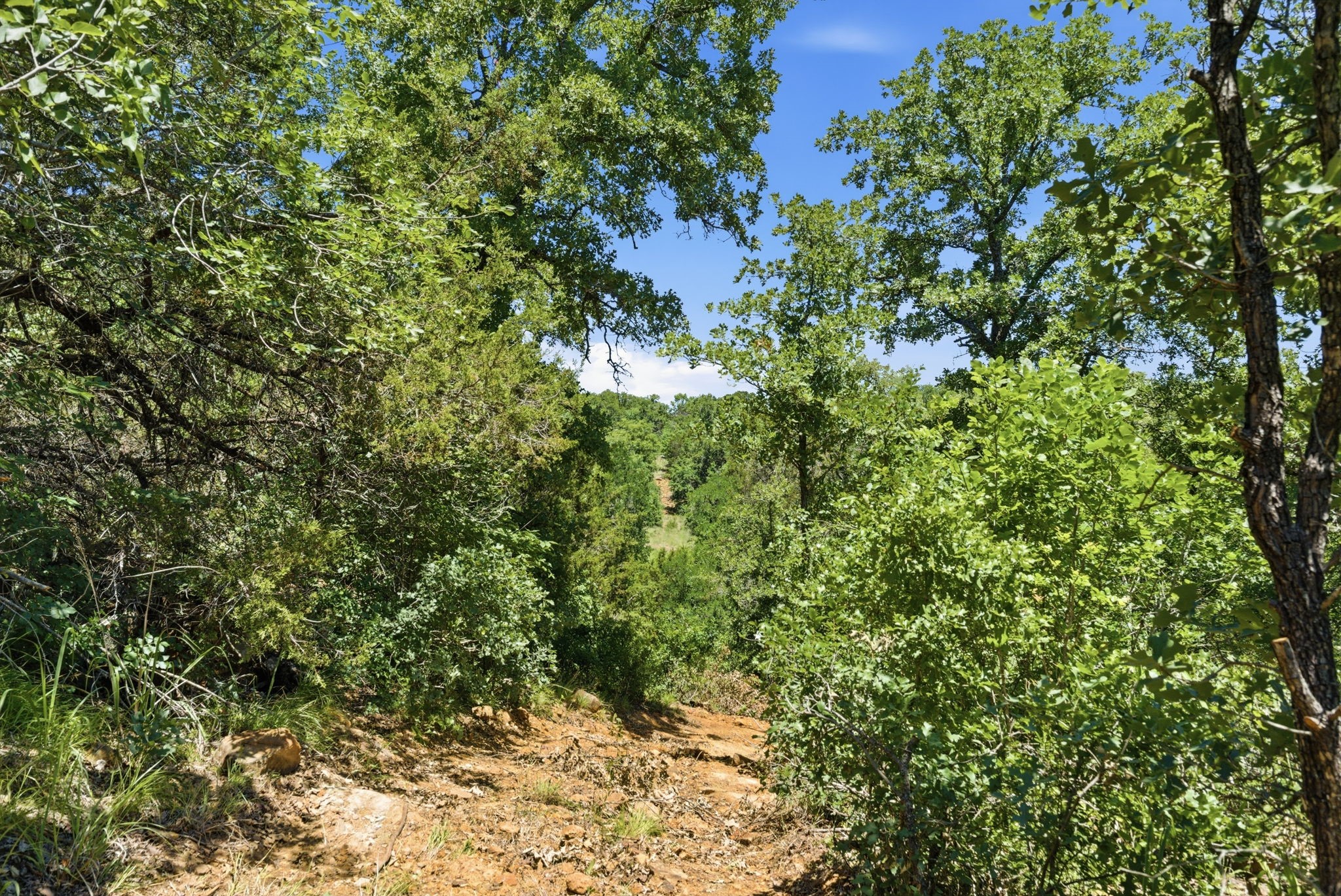 4320 Dobbs Valley Road Millsap TX 76066