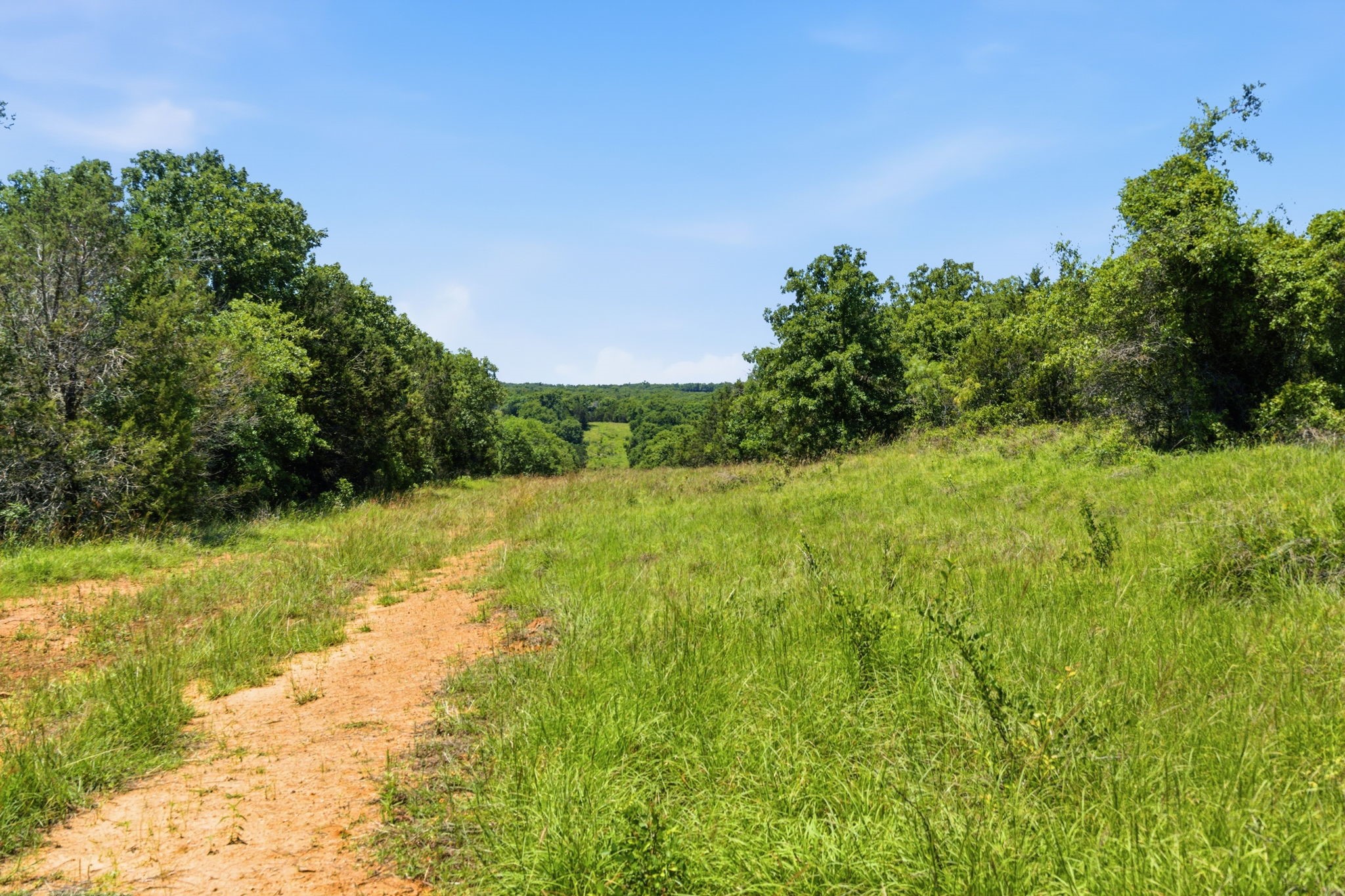 4320 Dobbs Valley Road Millsap TX 76066