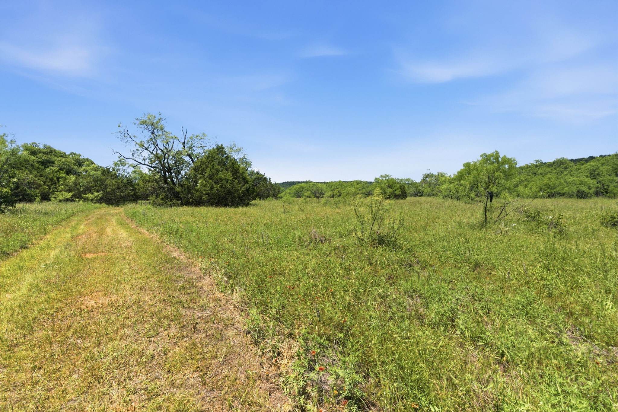 4320 Dobbs Valley Road Millsap TX 76066