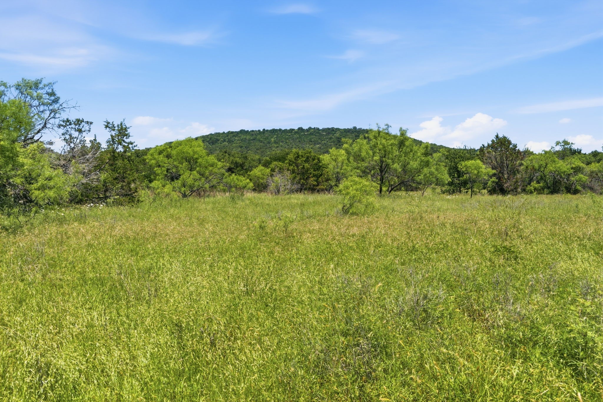 4320 Dobbs Valley Road Millsap TX 76066