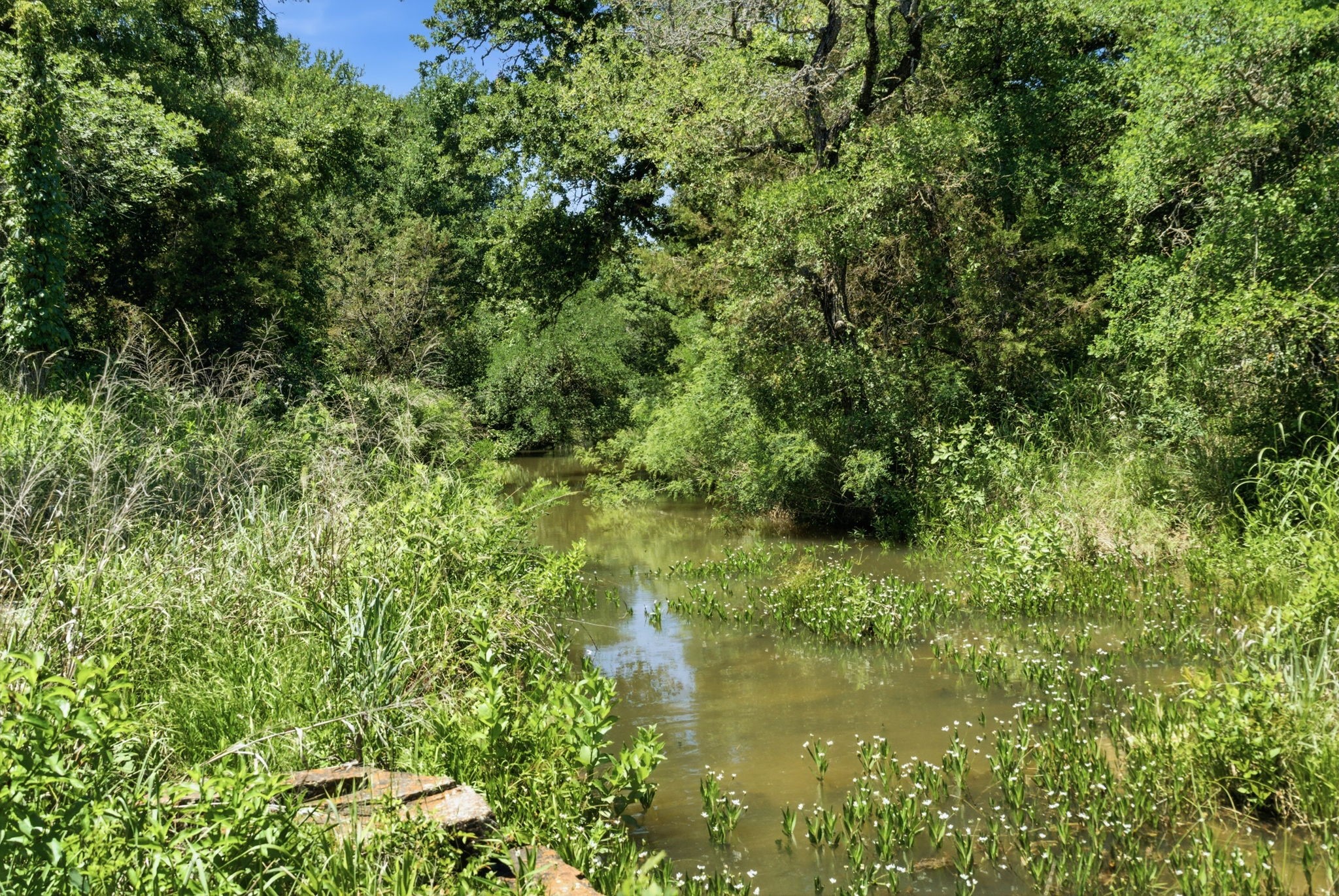 4320 Dobbs Valley Road Millsap TX 76066