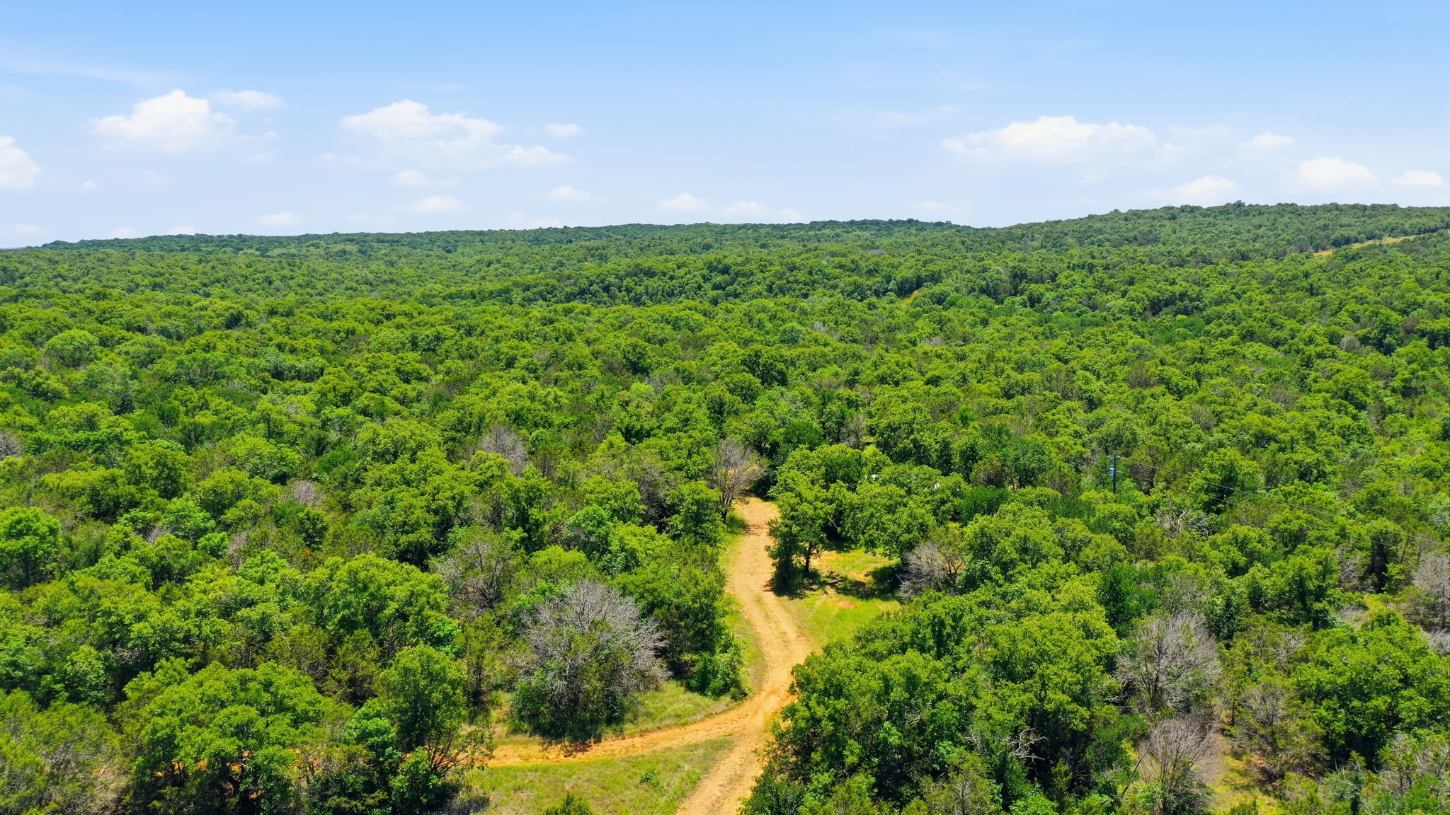 4320 Dobbs Valley Road Millsap TX 76066