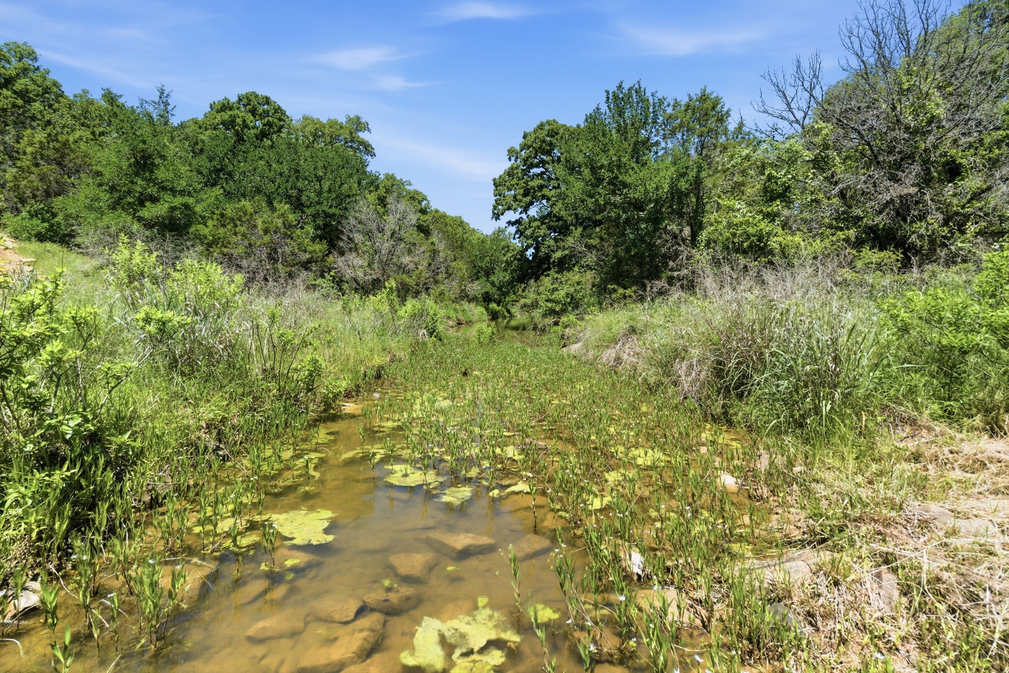 4320 Dobbs Valley Road Millsap TX 76066