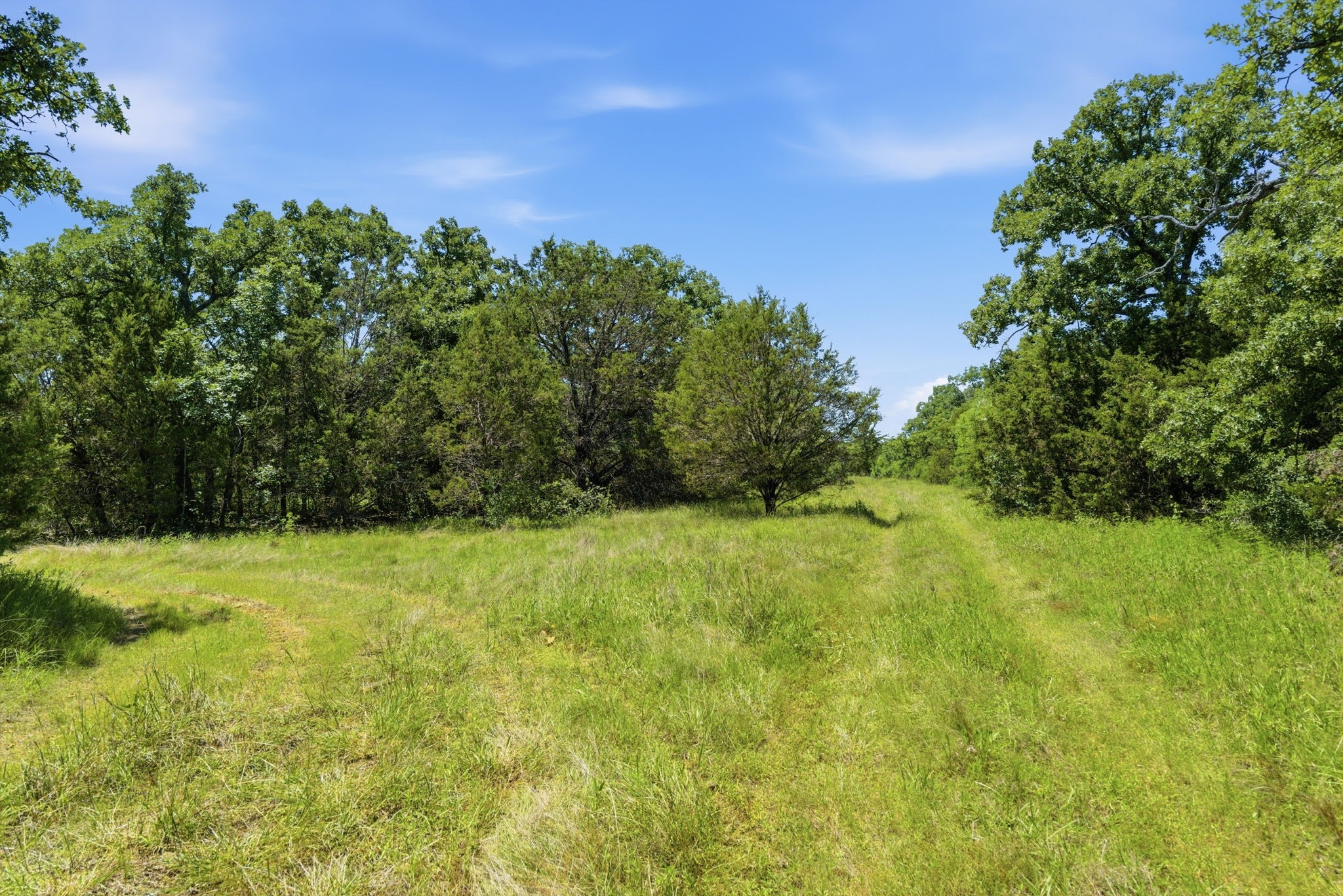 4320 Dobbs Valley Road Millsap TX 76066