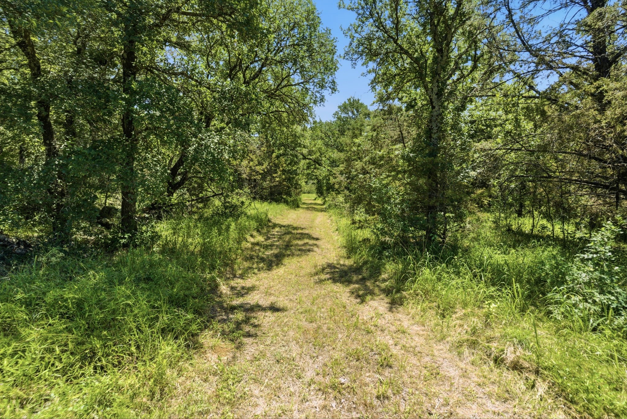 4320 Dobbs Valley Road Millsap TX 76066