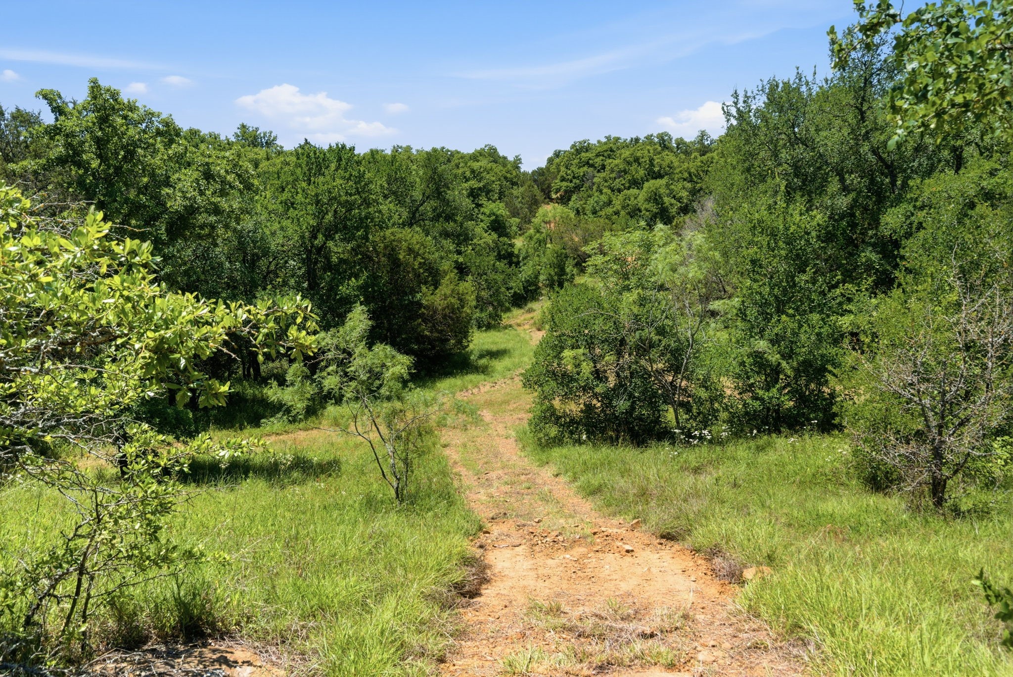 4320 Dobbs Valley Road Millsap TX 76066