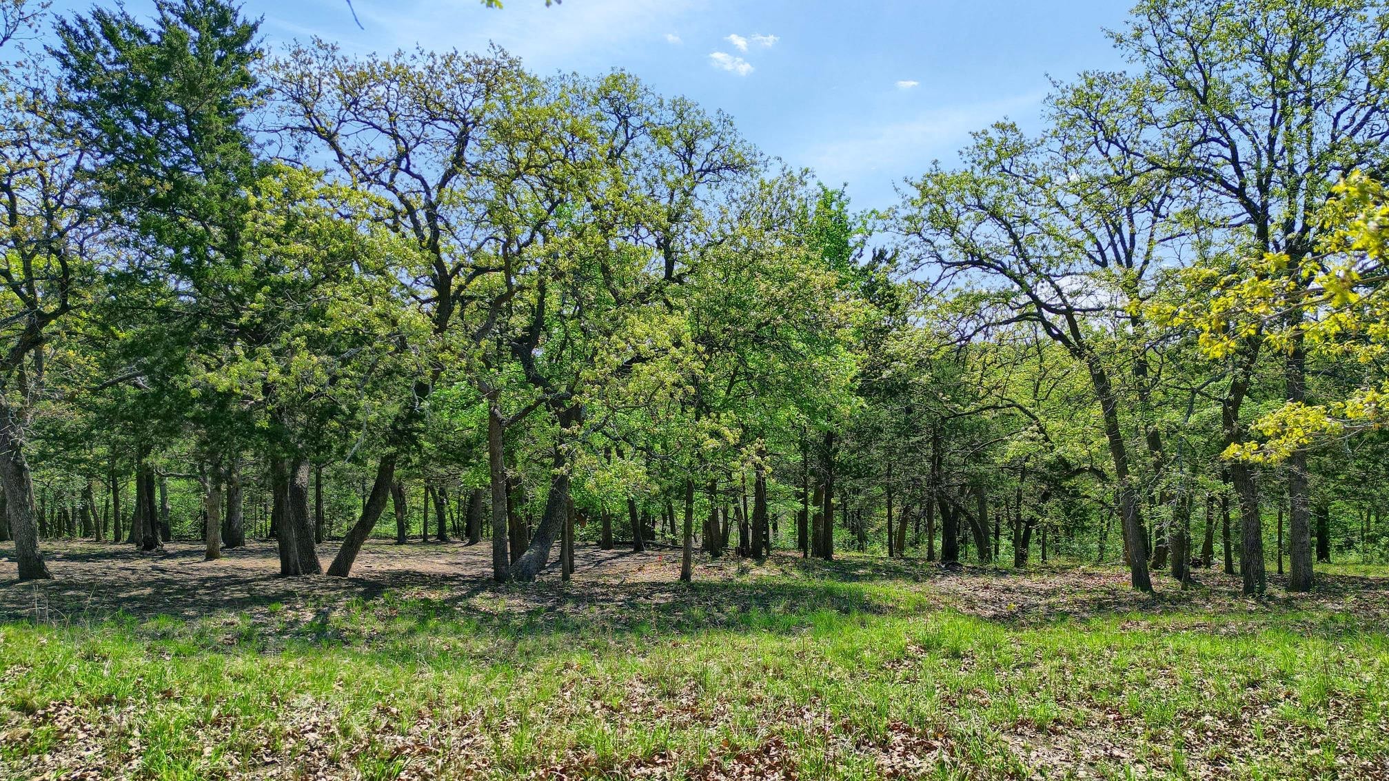 116 Oak Hills Drive Pottsboro TX 75076