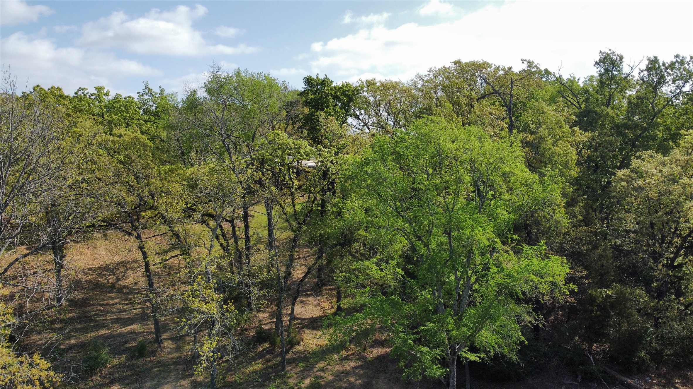 6075 County Road 1411 Malakoff TX 75148