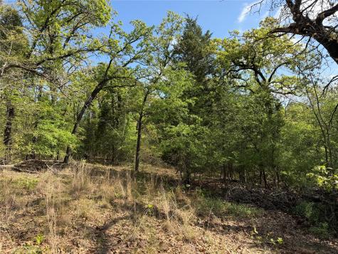 6075 County Road 1411 Malakoff TX 75148
