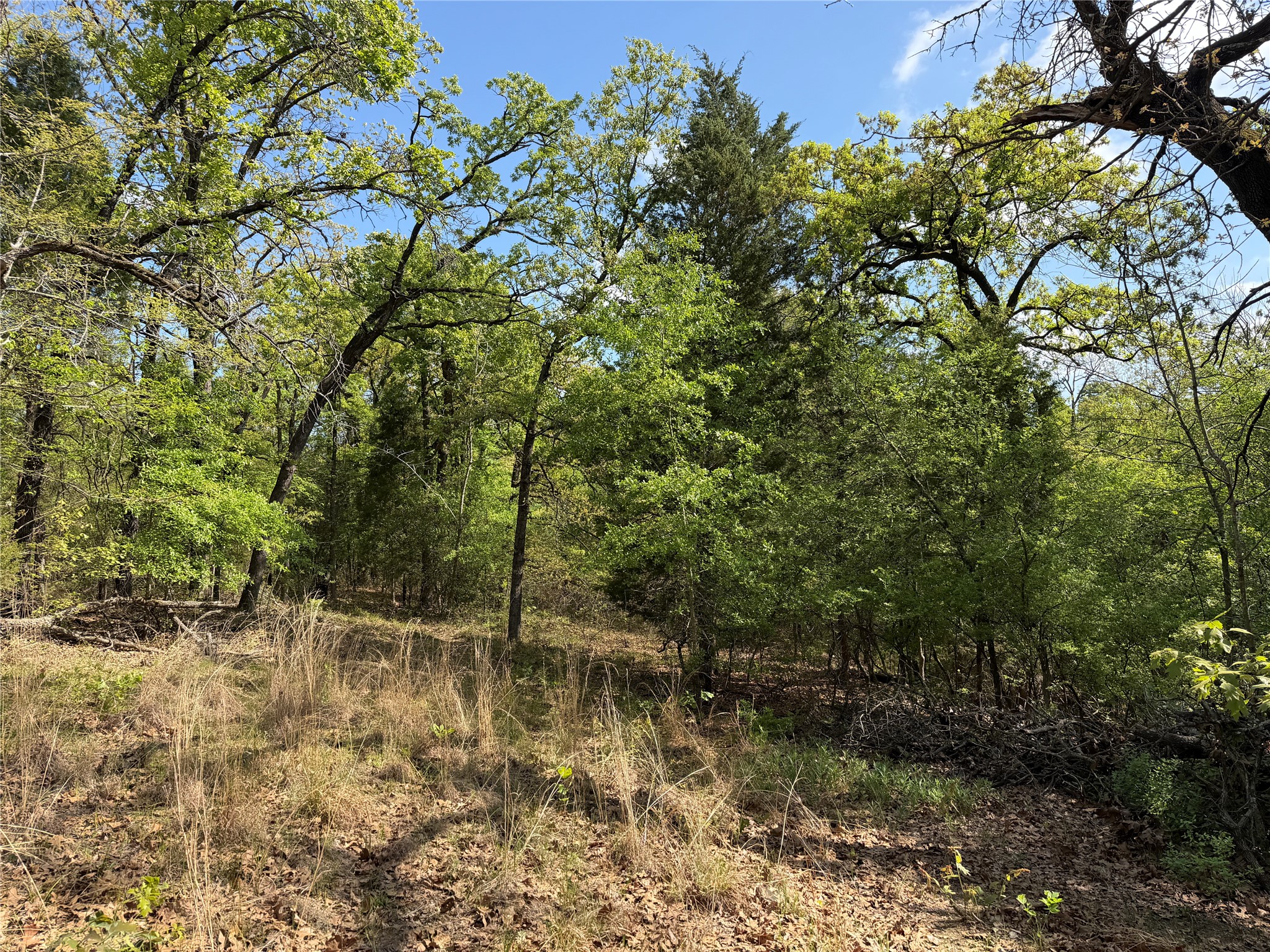 6075 County Road 1411 Malakoff TX 75148