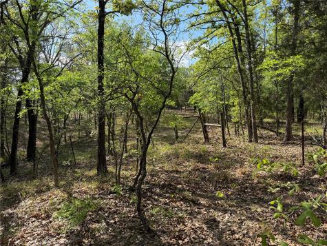 6075 County Road 1411 Malakoff TX 75148