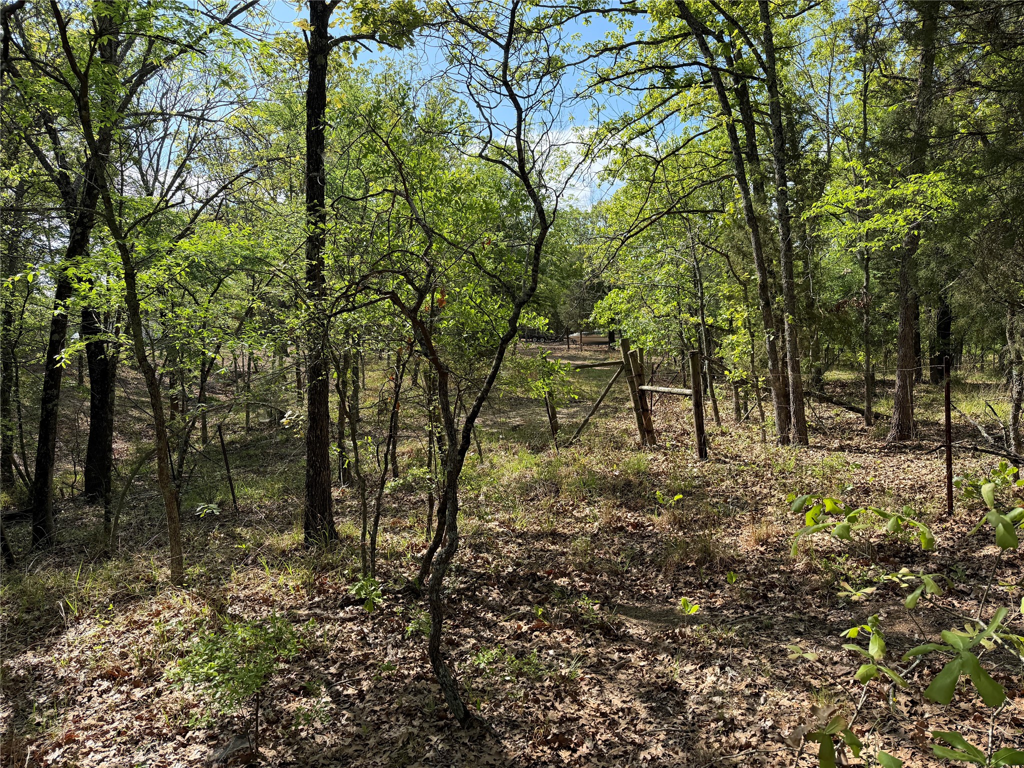 6075 County Road 1411 Malakoff TX 75148
