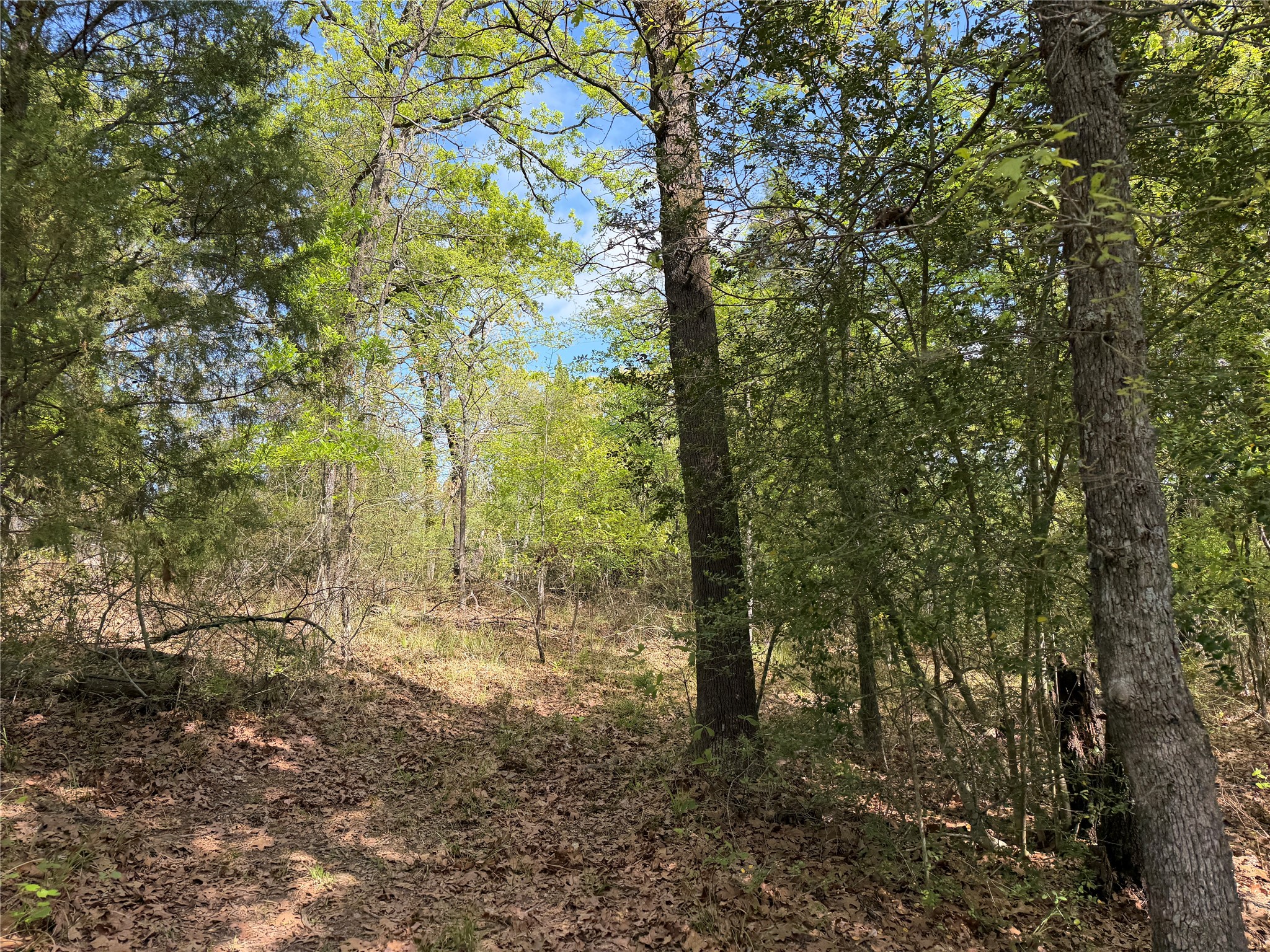 6075 County Road 1411 Malakoff TX 75148