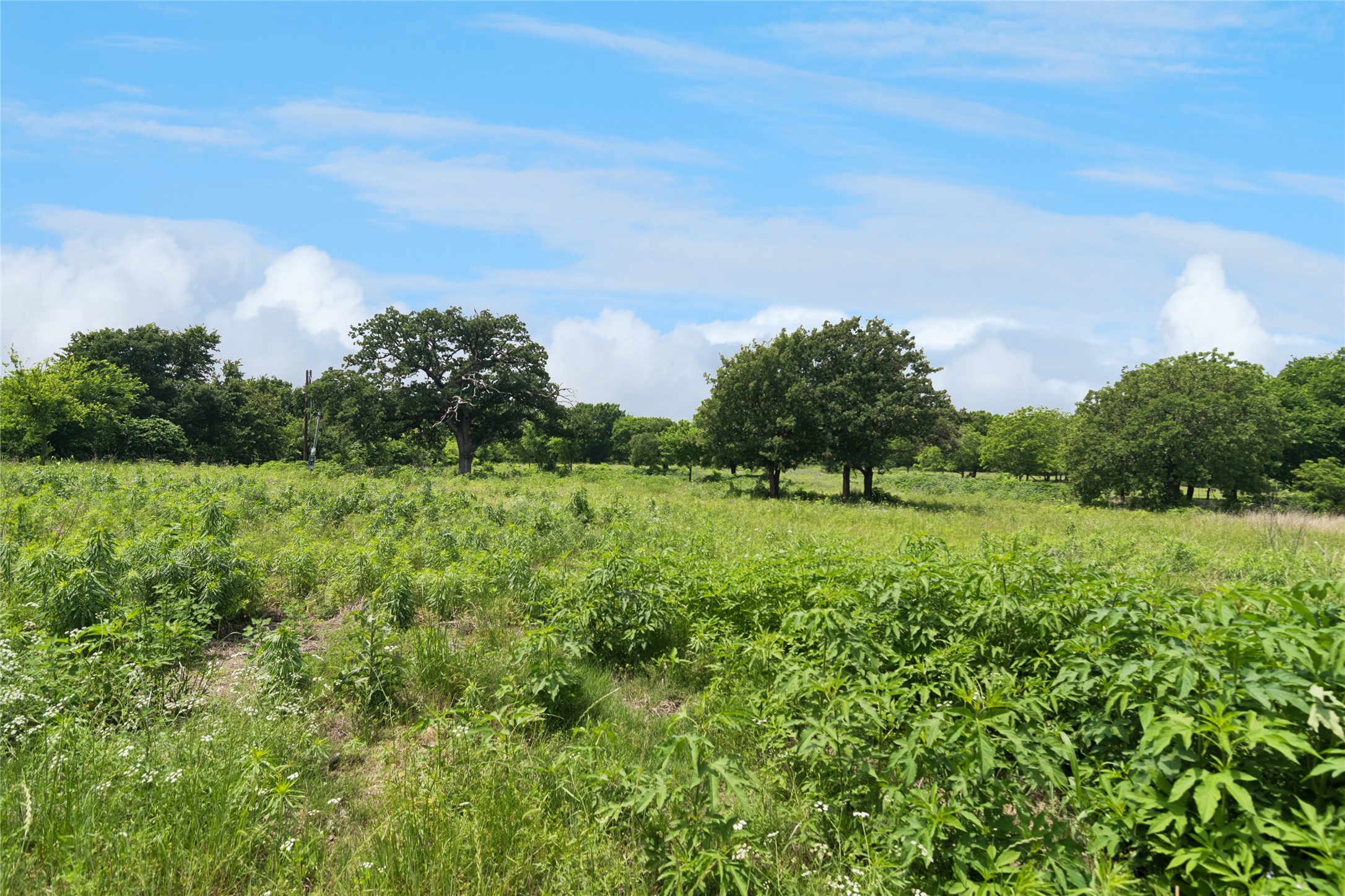 2013 Tepar Lane Cleburne TX 76031