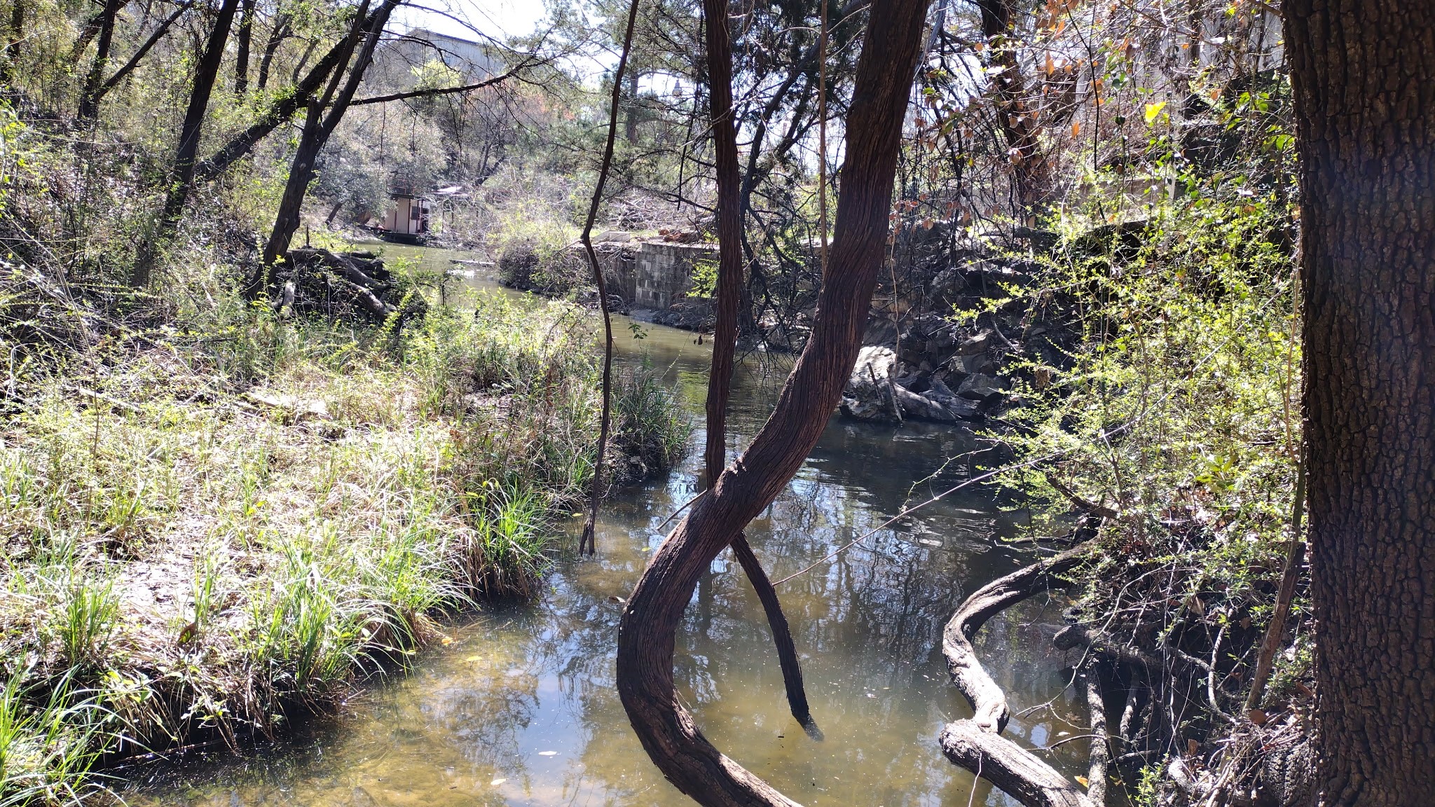 1011 Hidden Cove Trail Granbury TX 76049