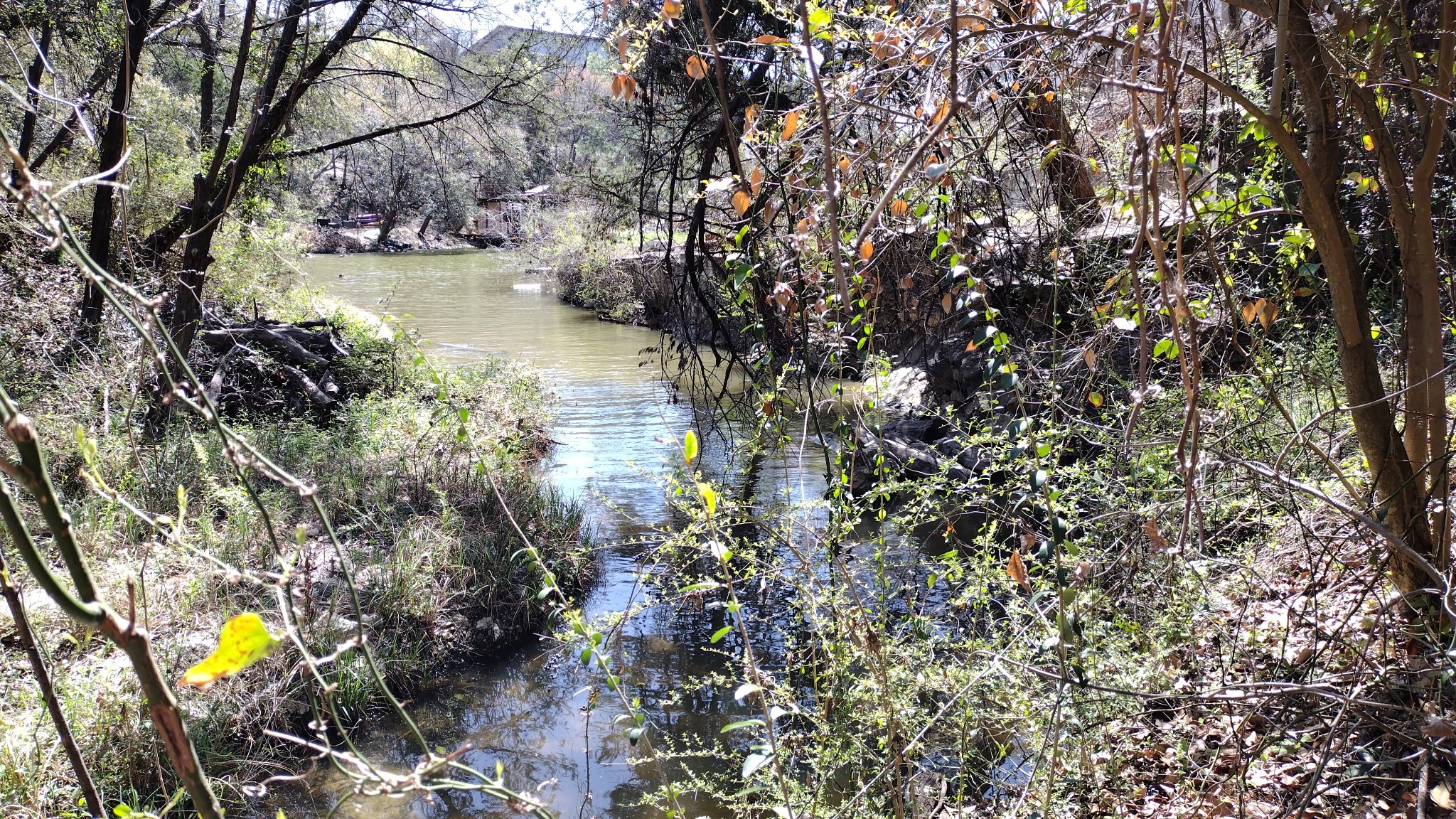 1011 Hidden Cove Trail Granbury TX 76049