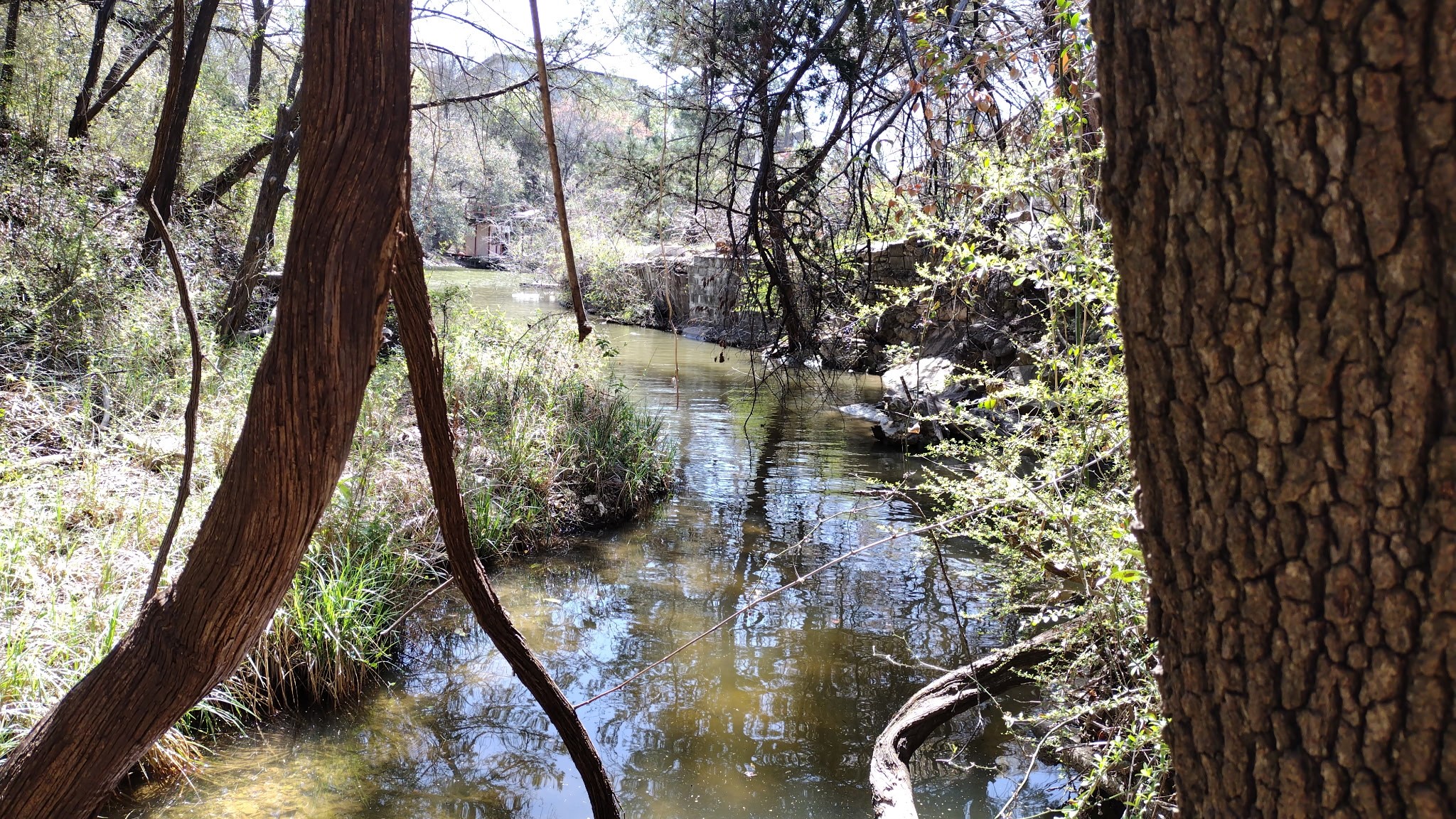 1011 Hidden Cove Trail Granbury TX 76049