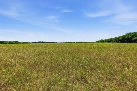 421 Chambers Creek Trail Alvarado TX 76009