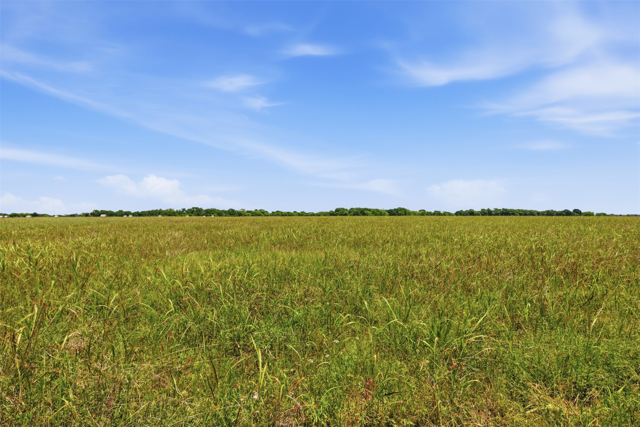 421 Chambers Creek Trail Alvarado TX 76009