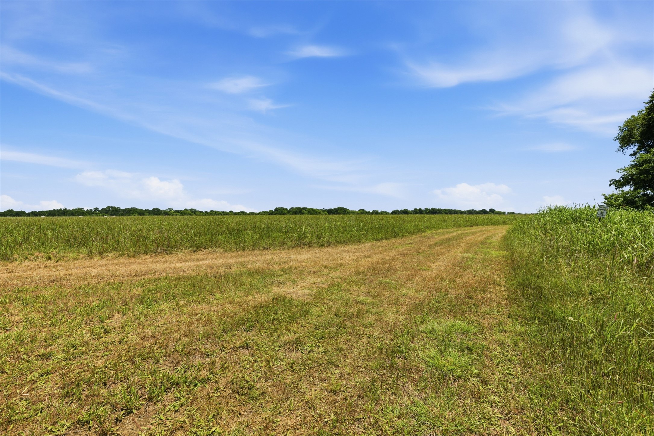 421 Chambers Creek Trail Alvarado TX 76009