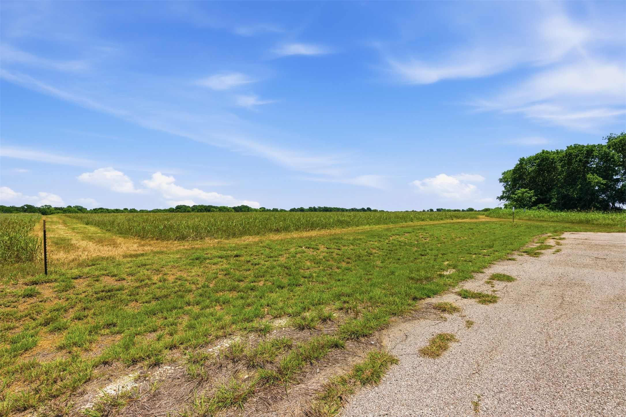 421 Chambers Creek Trail Alvarado TX 76009