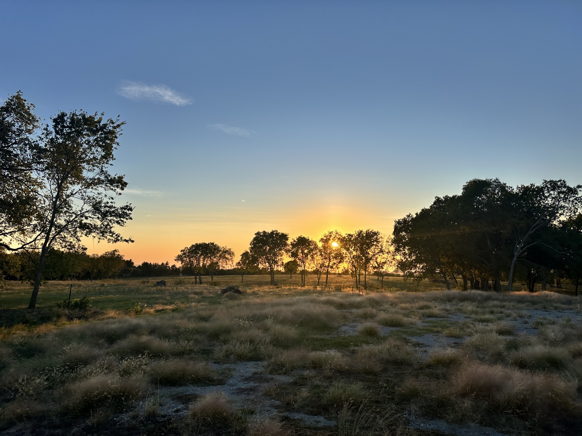 000 Mcconnell Road Gunter TX 75058