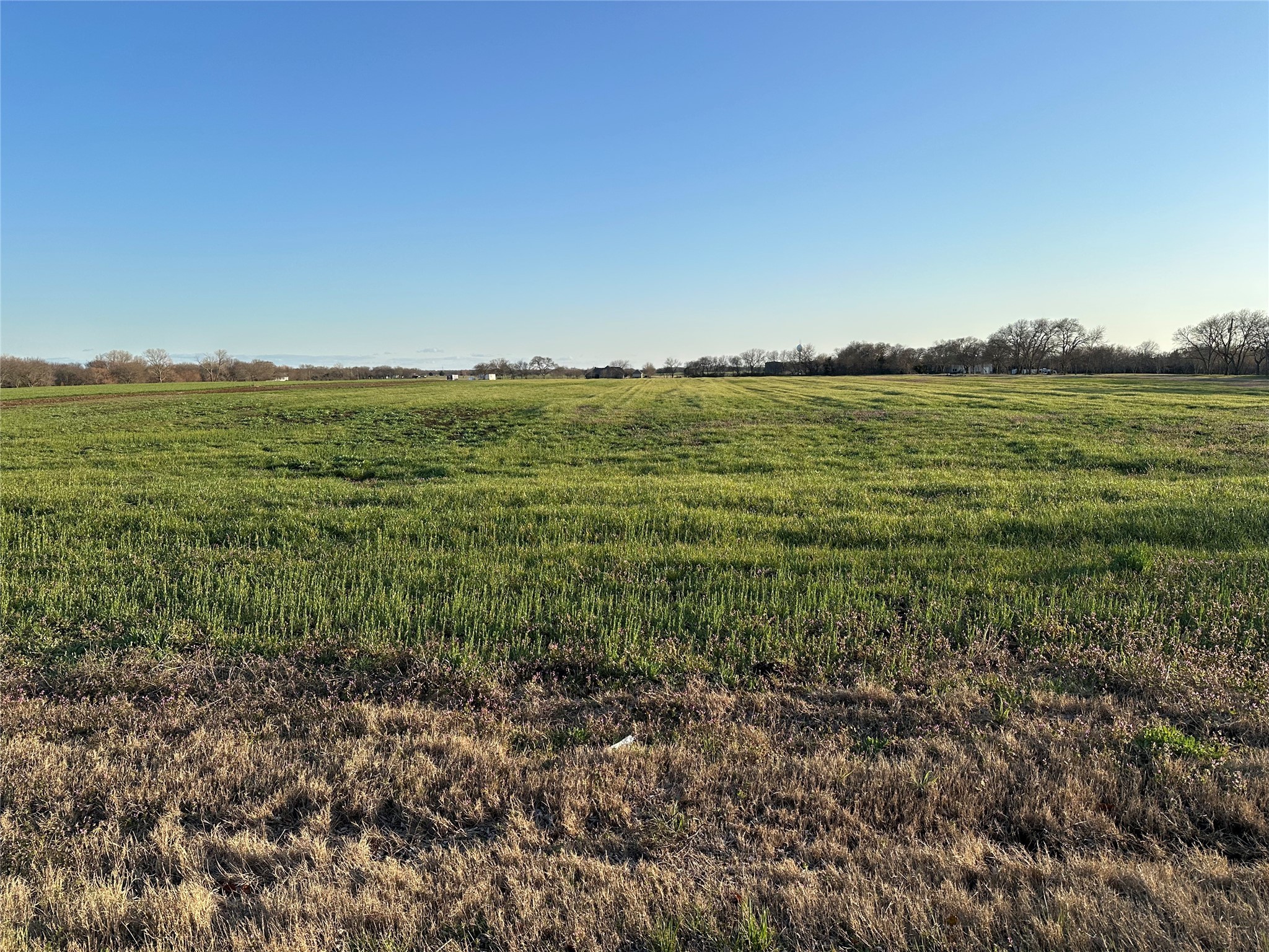 000 Mcconnell Road Gunter TX 75058
