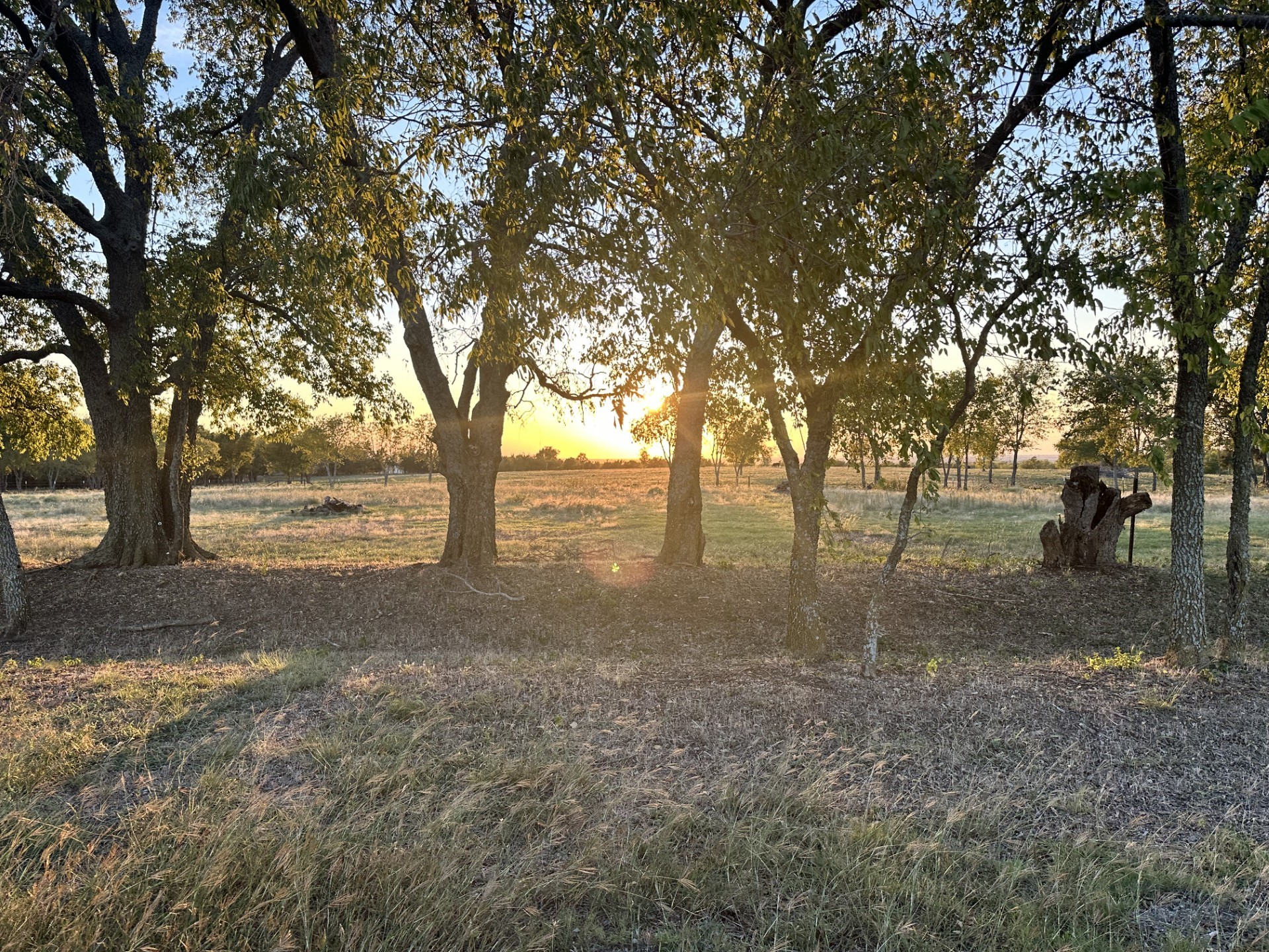 000 Mcconnell Road Gunter TX 75058