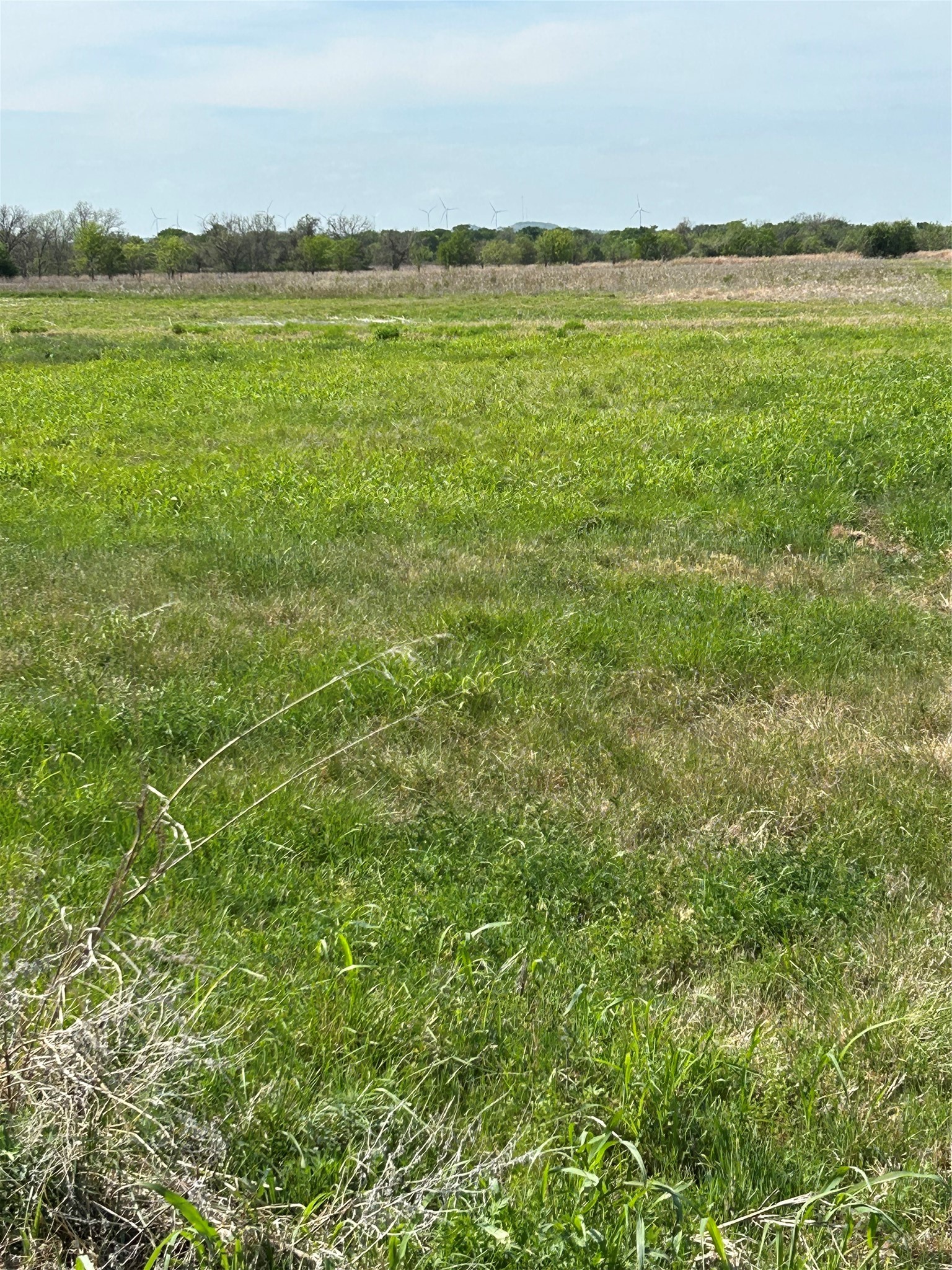 38295 N State Highway 108 Mingus TX 76463