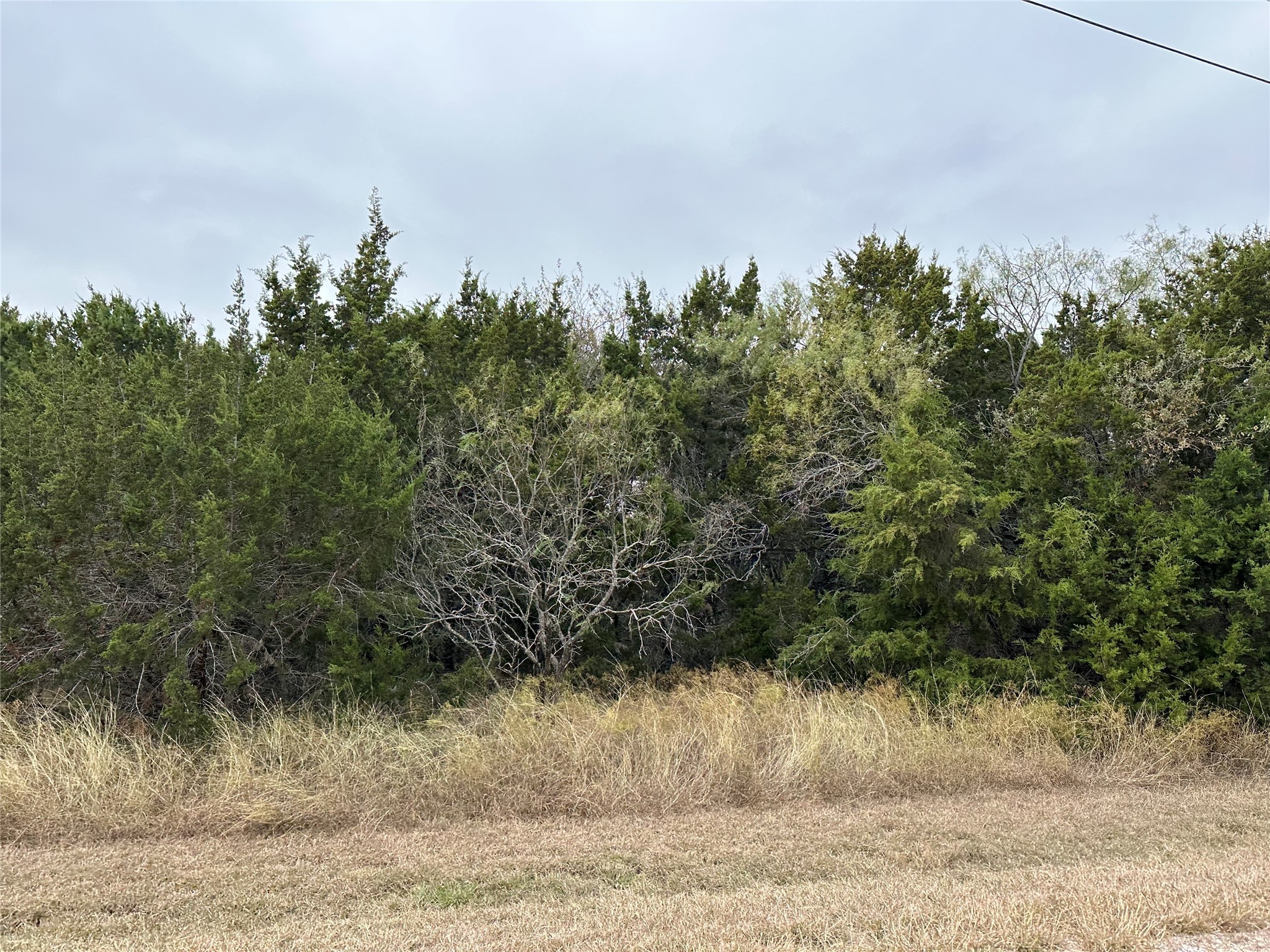 43100 Coneflower Drive Whitney TX 76692