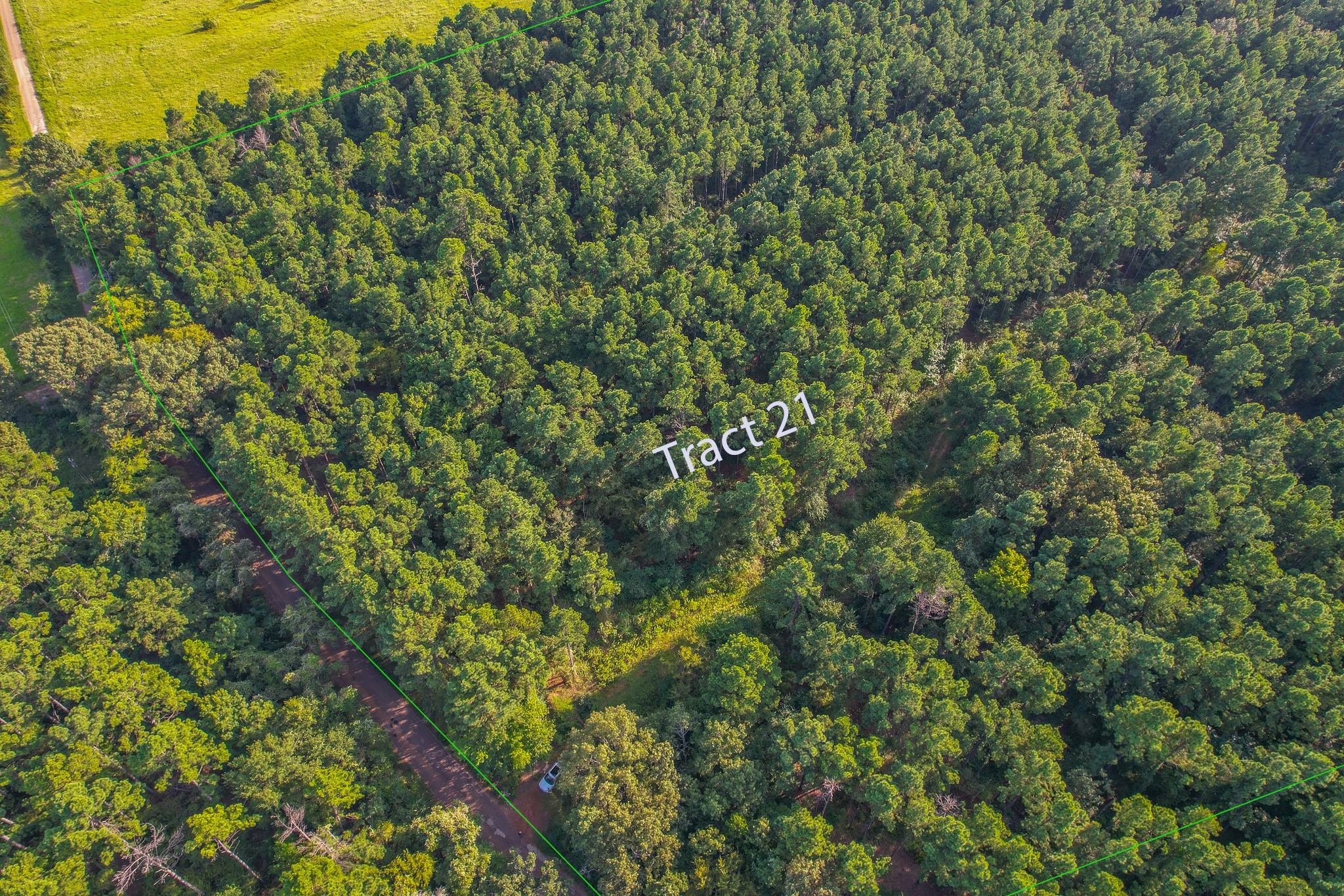 Tract 21 County Road 4224 Frankston TX 75763