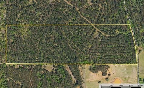 Tract 21 County Road 4224 Frankston TX 75763