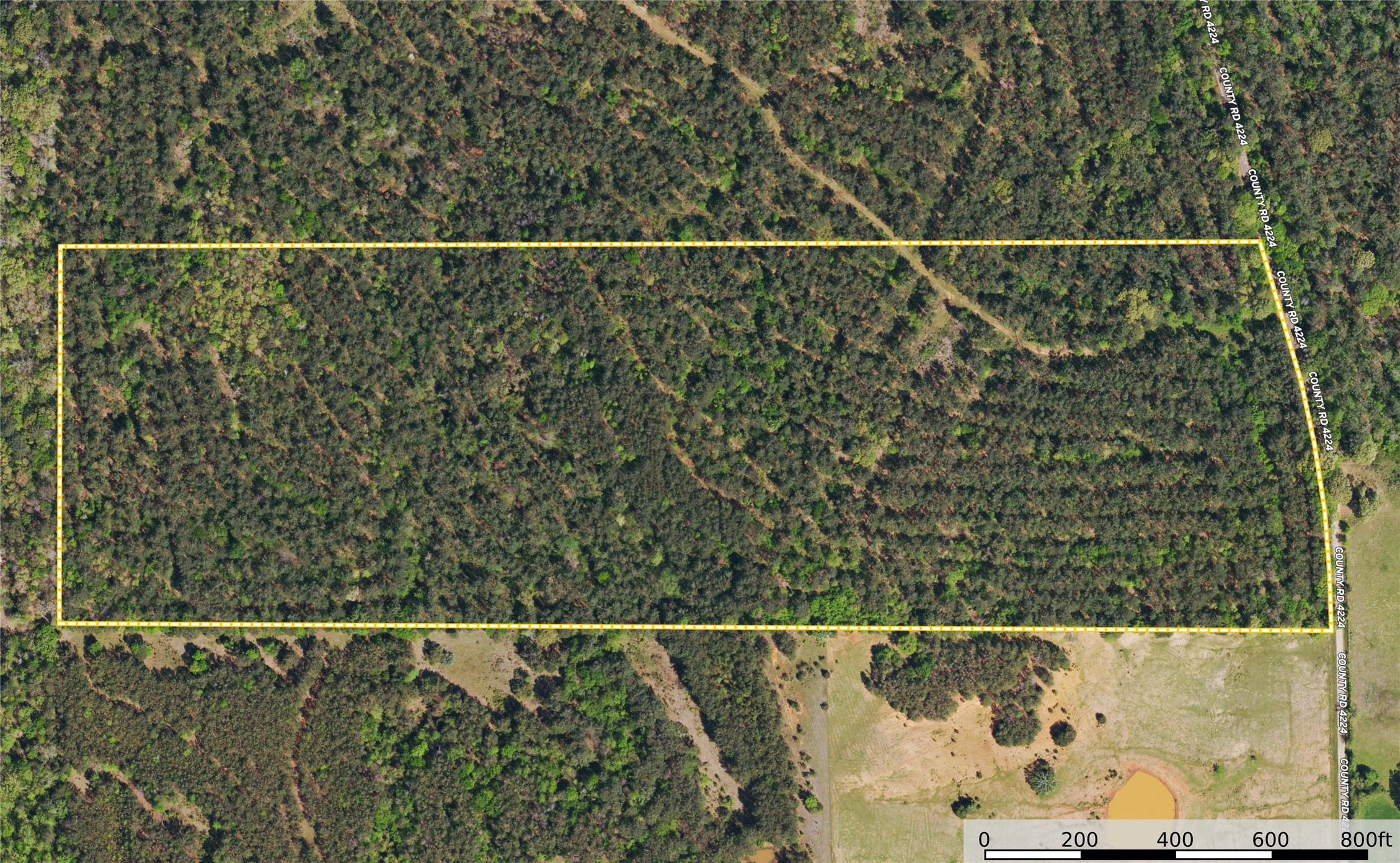 Tract 21 County Road 4224 Frankston TX 75763