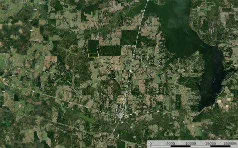 Tract 21 County Road 4224 Frankston TX 75763