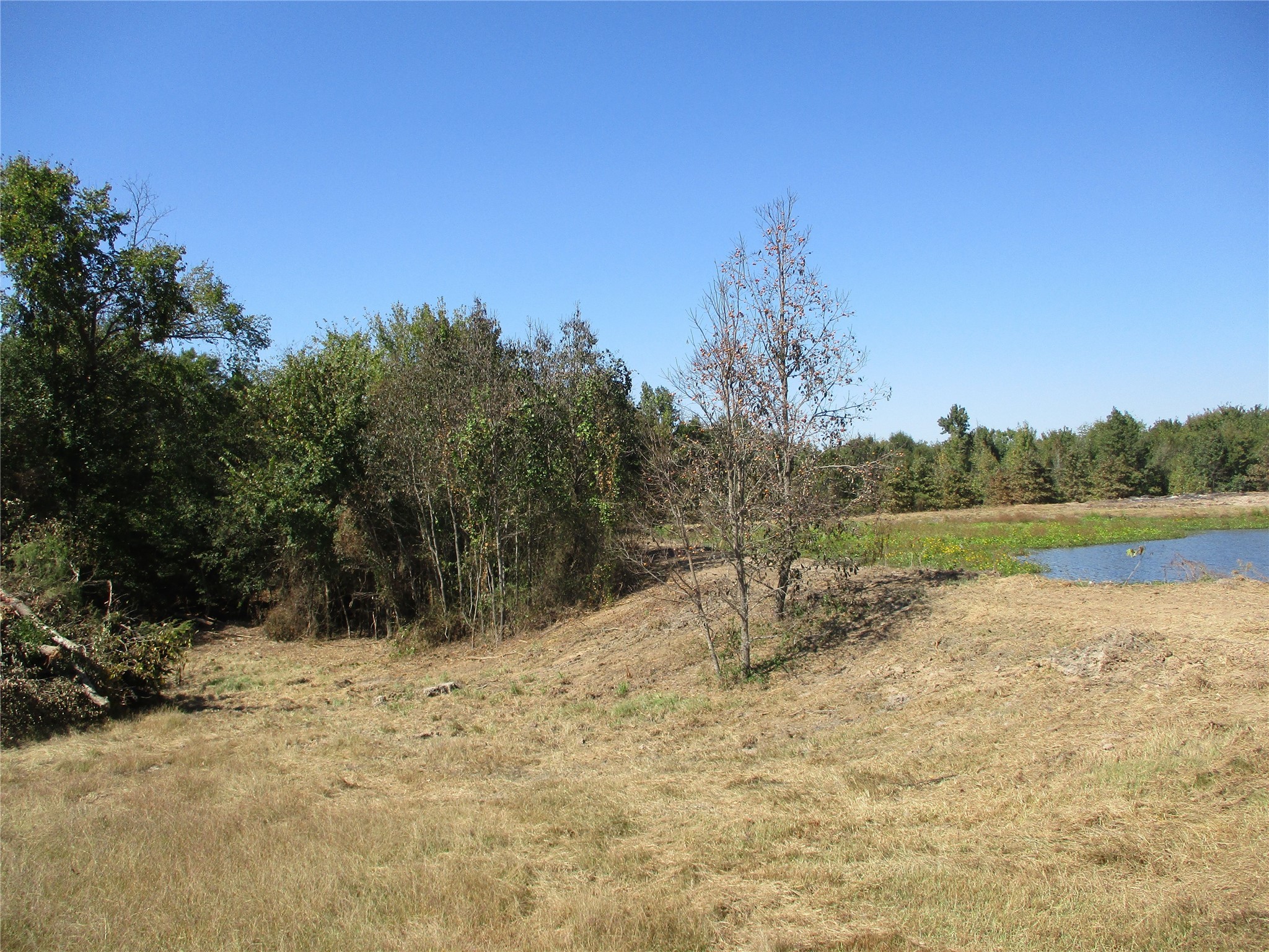 Tbd Fm 3274 Emory TX 75440