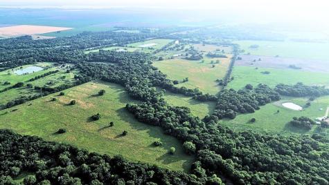 150 +- Acres Highway 31 Kerens TX 75144